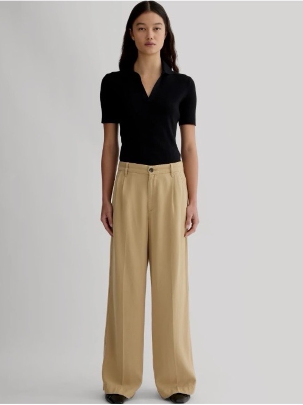 Everlane Pleated Wide-Leg Trousers in Khaki